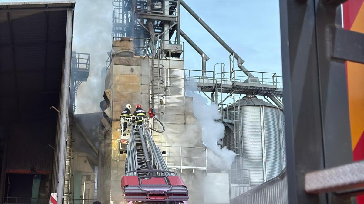 incendiu la un uscator de floarea soarelui din tulcea in care erau zece tone de cereale
