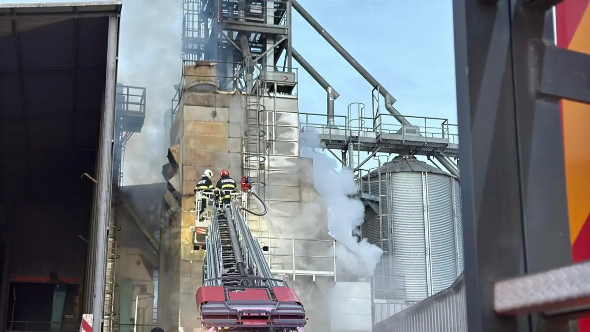 incendiu la un uscator de floarea soarelui din tulcea in care erau zece tone de cereale