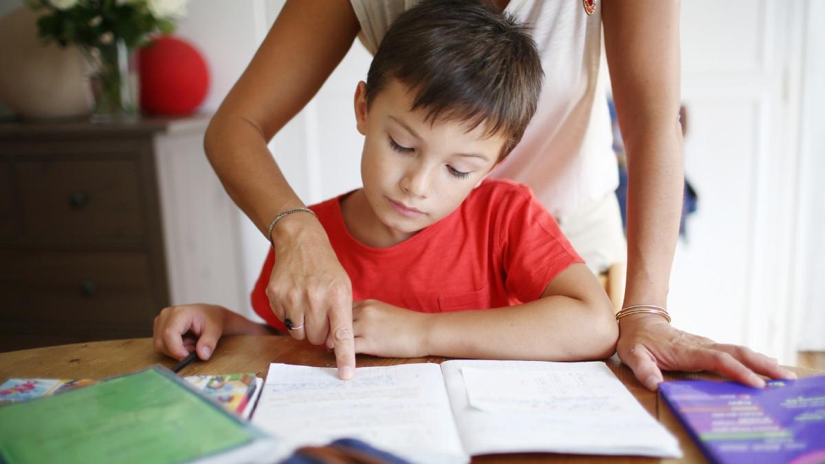 daniel david temele nu trebuie sa fie o corvoada ministerul educatiei anunta schimbari importante pentru elevi si profesori