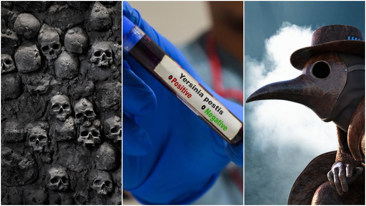 moartea neagra in europa a venit cu cenusa vulcanica a unei eruptii necunoscute cum a functionat efectul aripii de fluture