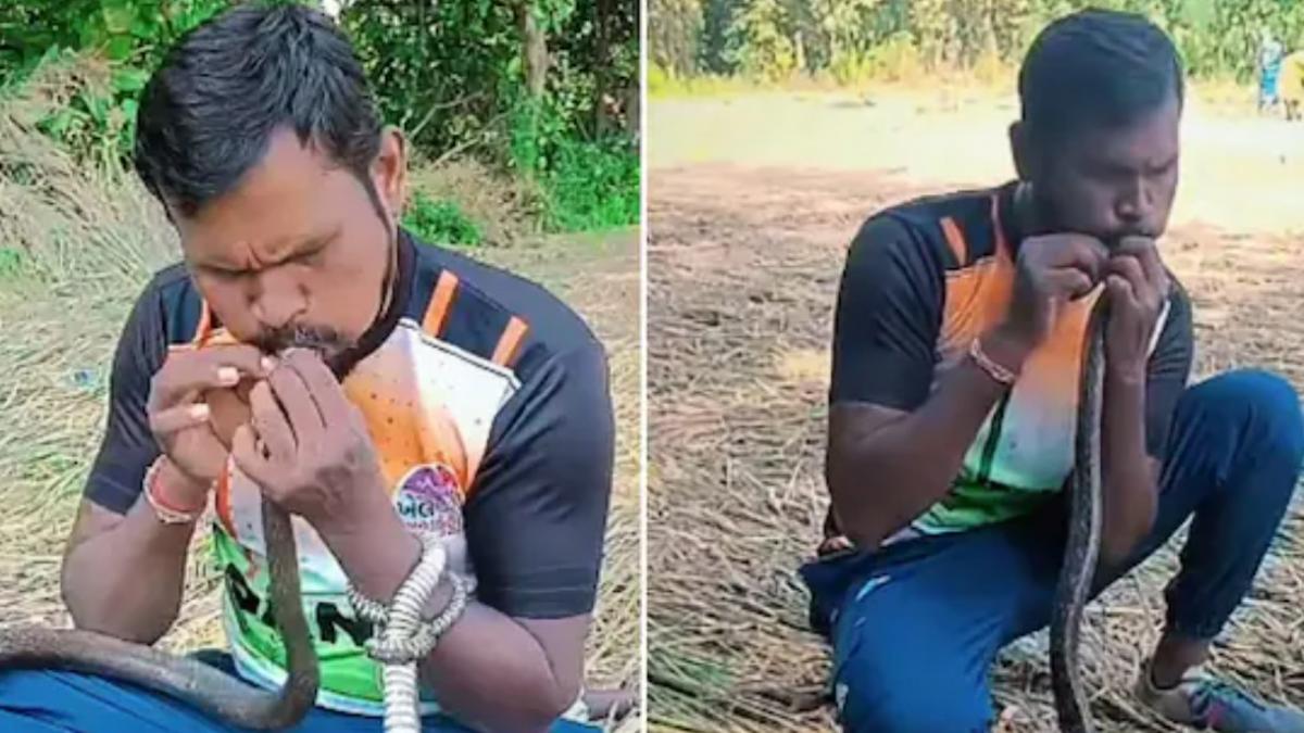 clipul care a socat internetul un indian a readus la viata un sarpe facandu i respiratie gura la gura