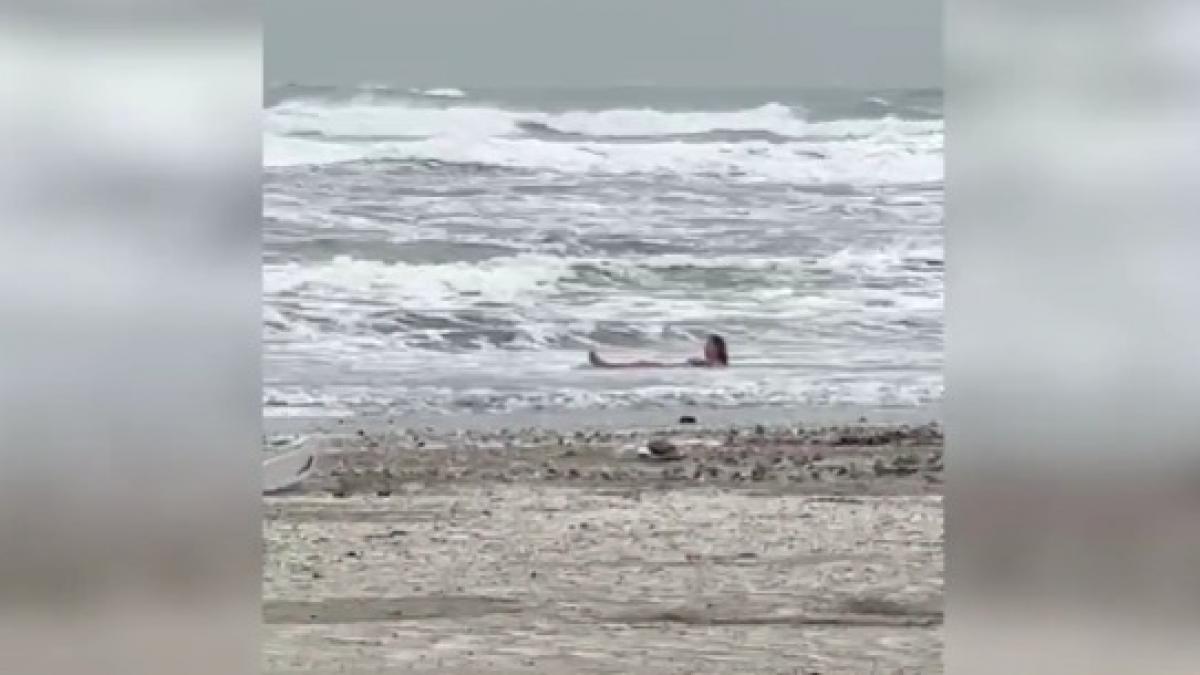 imagini surprinzatoare la mamaia o femeie se balaceste in mare si sta la plaja desi afara sunt doar 8 grade