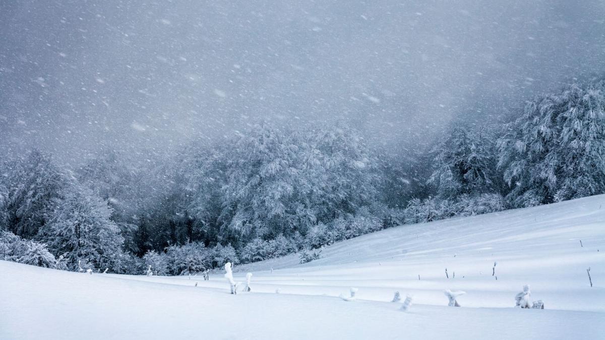 un barbat este acuzat de omor din culpa dupa ce si a lasat partenera in frig pe cel mai inalt munte din austria