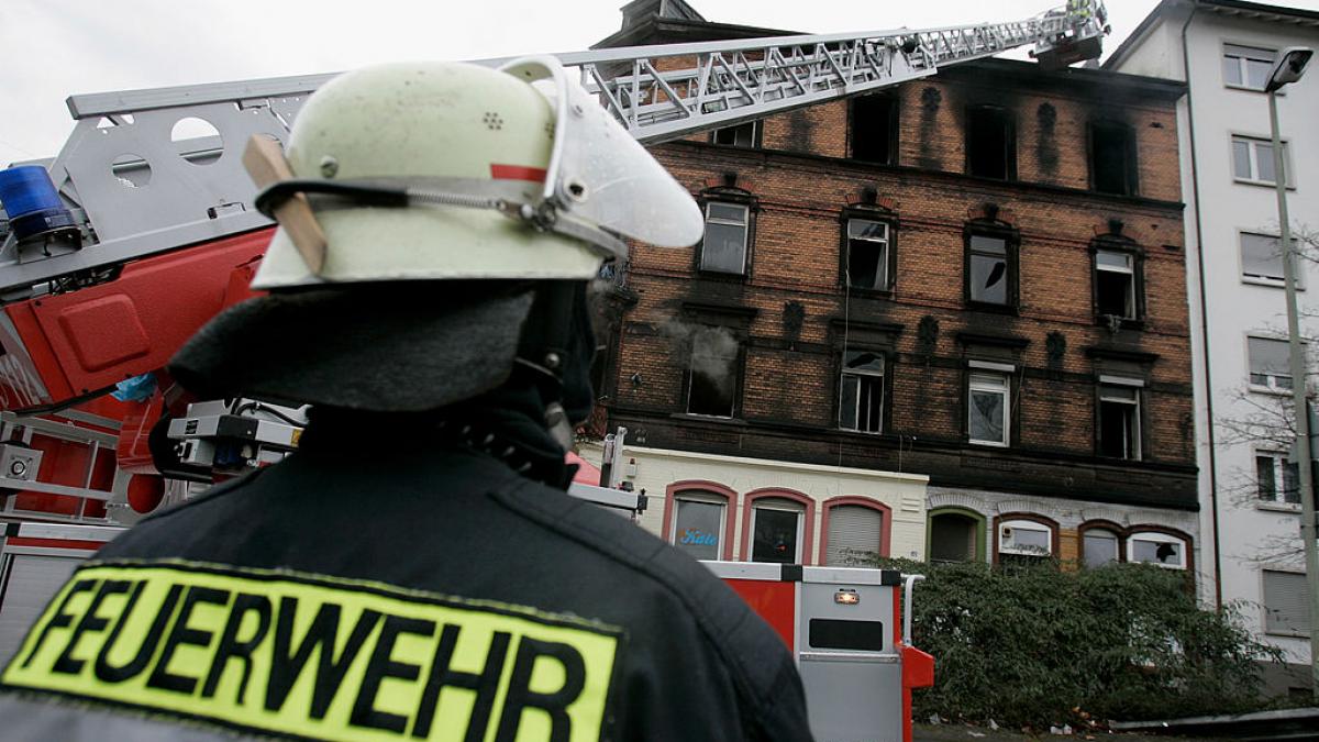 un caine a devenit erou dupa ce si a salvat proprietarul l a trezit dupa ce a izbucnit un incendiu in apartament