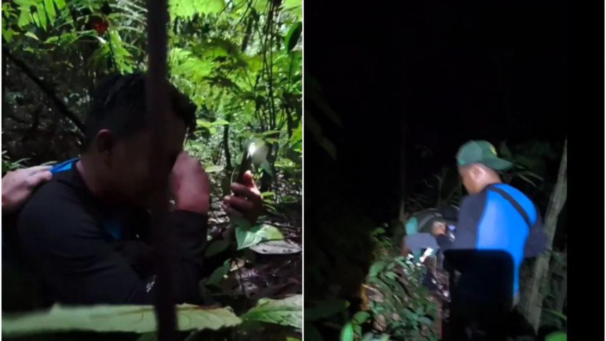 un cercetator a izbucnit in lacrimi dupa o ce a facut in jungla o descoperire pe care o astepta de 13 ani