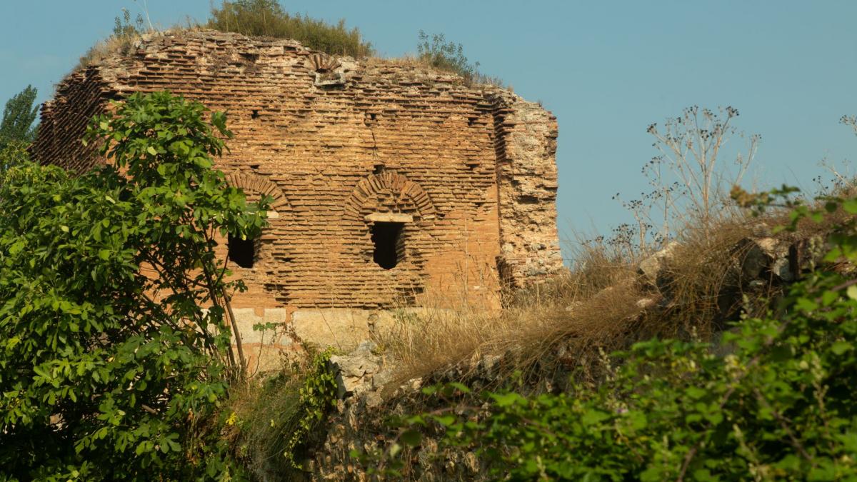 o parcela de pamant a fost scoasa la vanzare dupa ce a fost vizitata de papa leon interesul a explodat