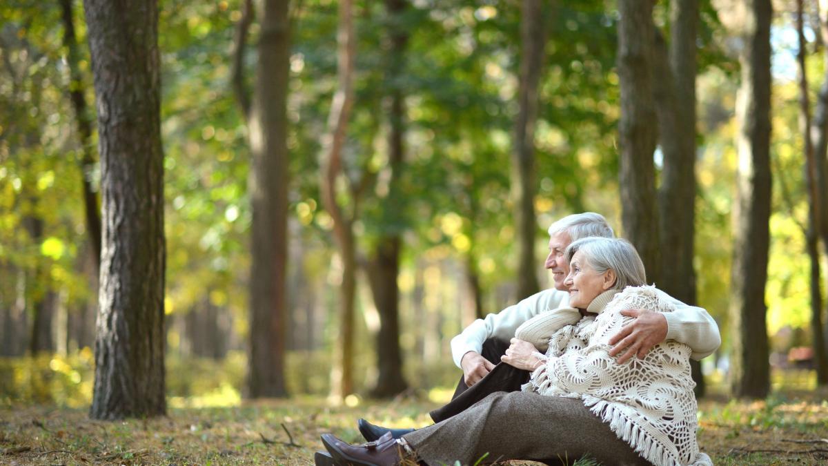 suplimentele care duc la longevitate coenzima esentiala pentru functia mitocondriala si activarea sirtuinelor