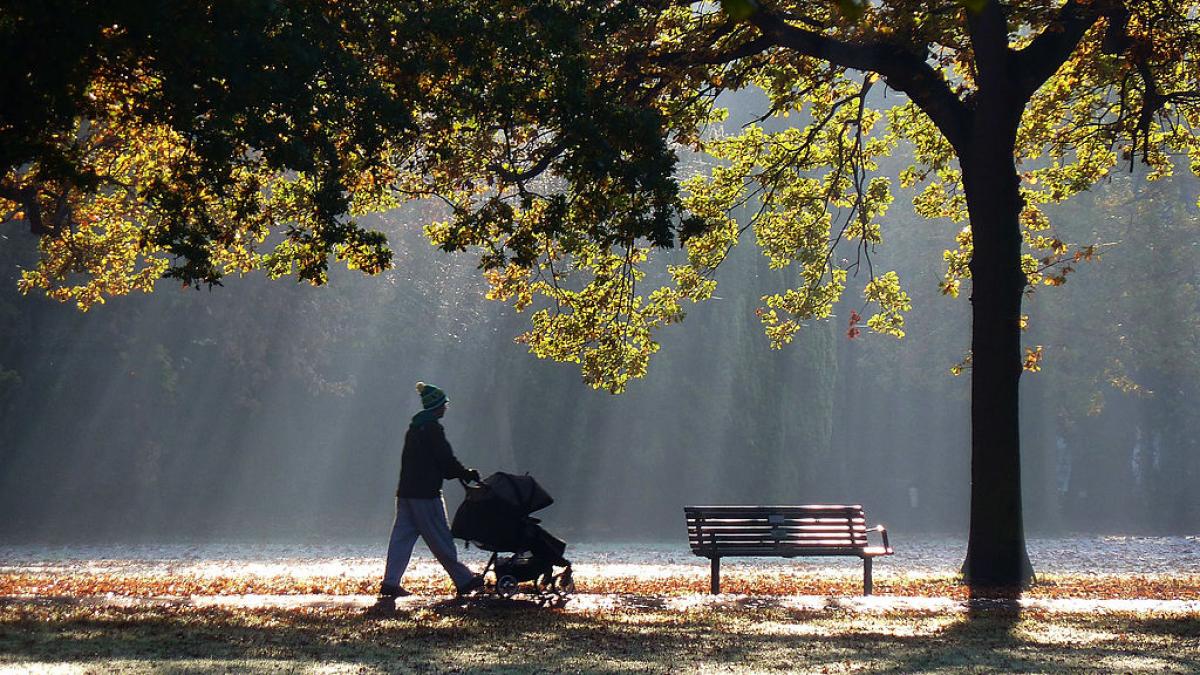 poza dintr-un parc, intr-o zi de toamna, in timp ce o mamica isi plimba copilul in carucior