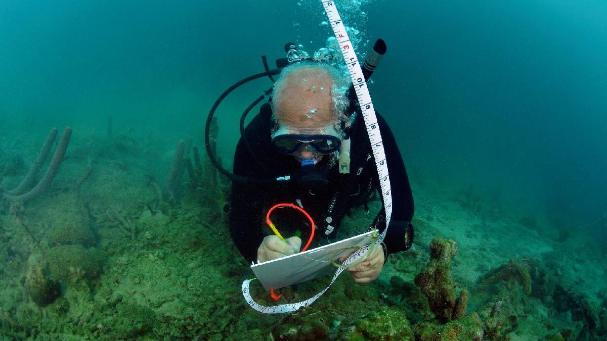 epava unei ambarcatiuni antice a fost descoperita de scafandri arheologi in golful din alexandria