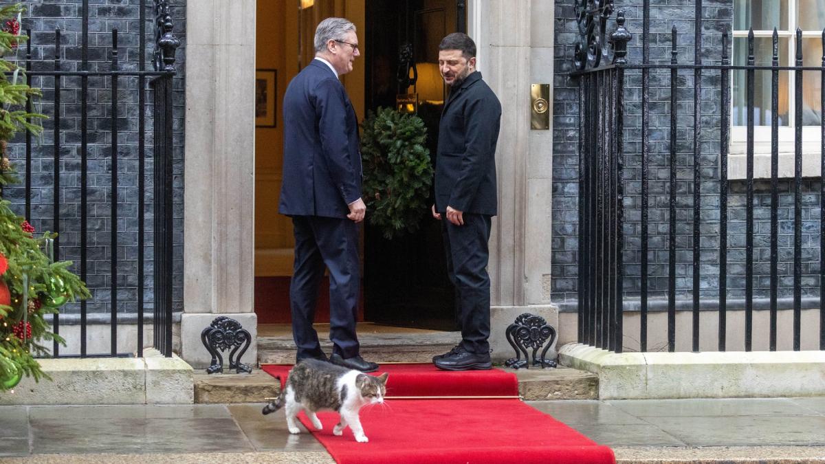 „Lăsați-l să intre, e frig”. Motanul Larry, vedeta zilei la întâlnirea aliaților cu Zelenski. A fost mai fotografiat decât Macron