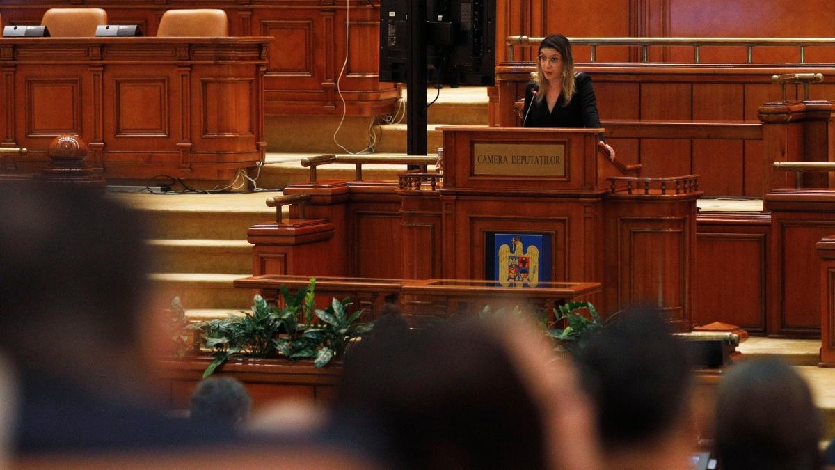 scandal la audierea ministrului mediului pe criza de la paltinu simion incompetenta buzoianu sunteti un casetofon stricat