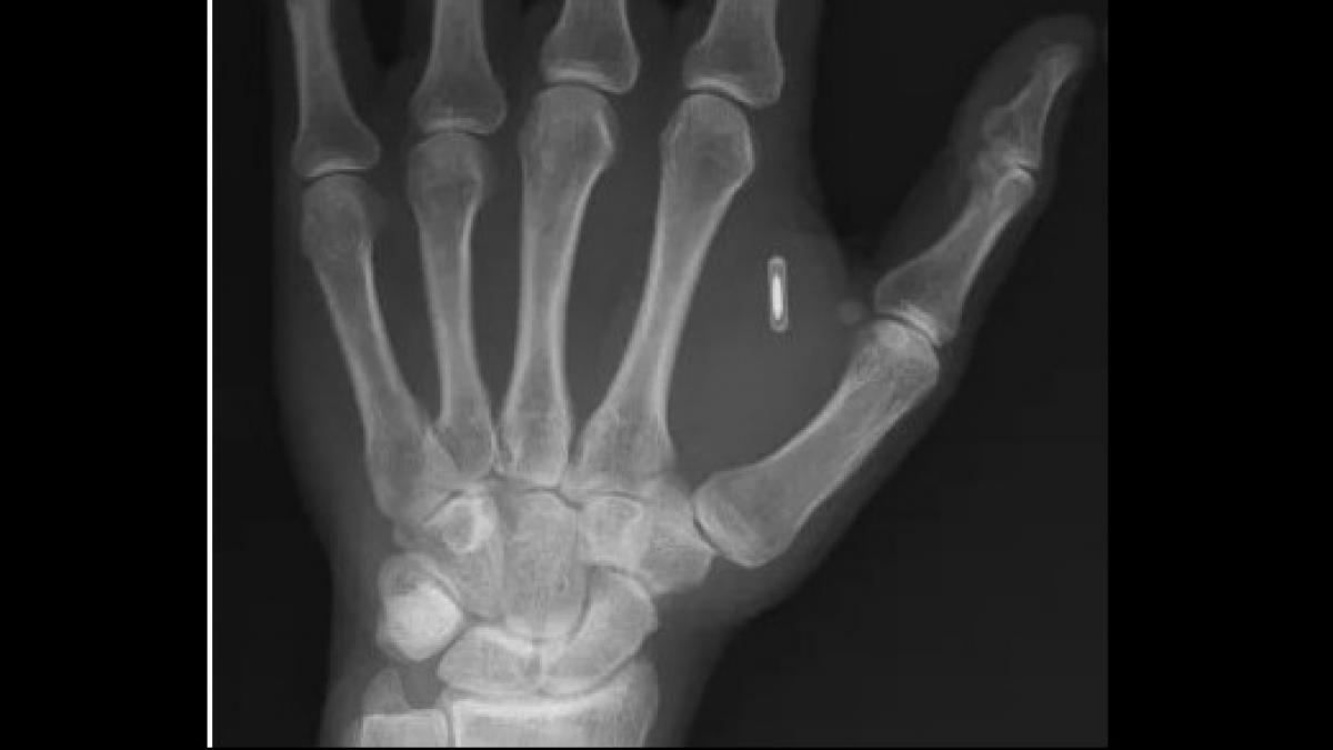 Captură de ecran 2025-12-08 104051