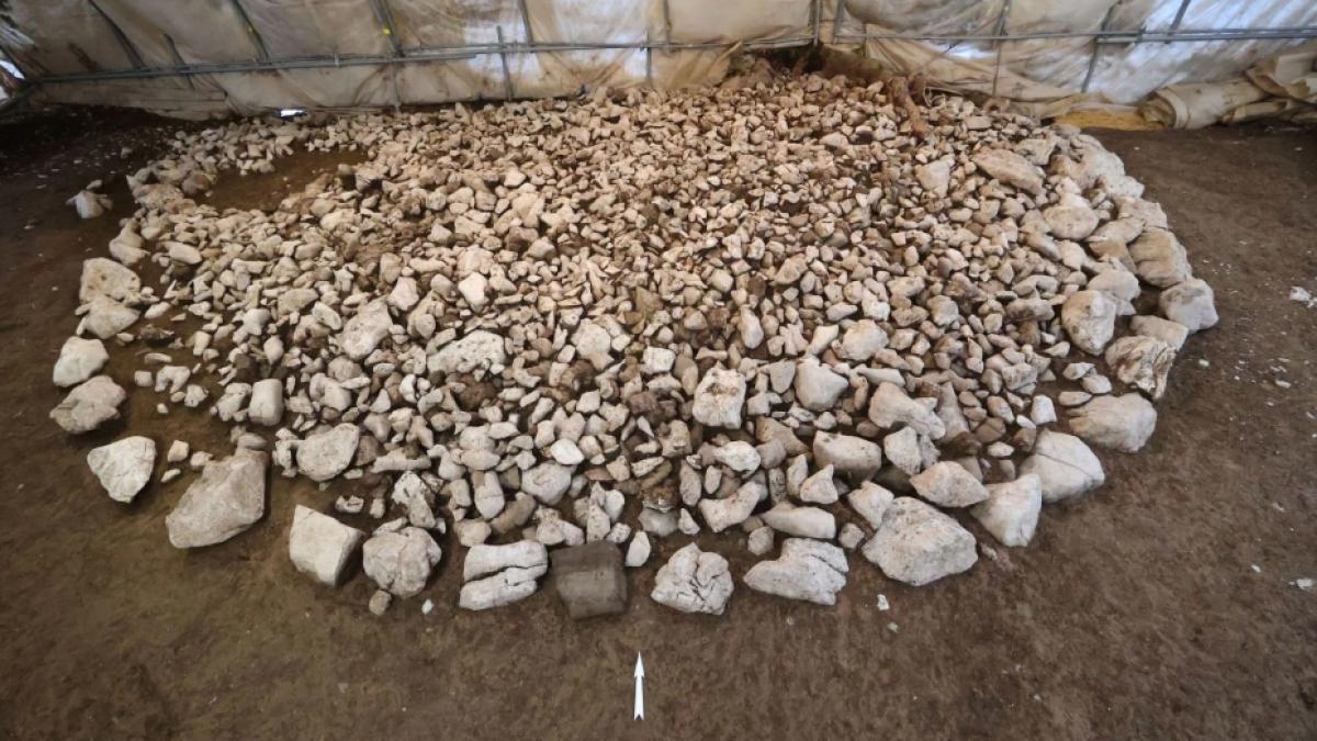 arheologii au descoperit un mormant monumental vechi de 2 600 de ani remarcabil de bine conservat in elvetia