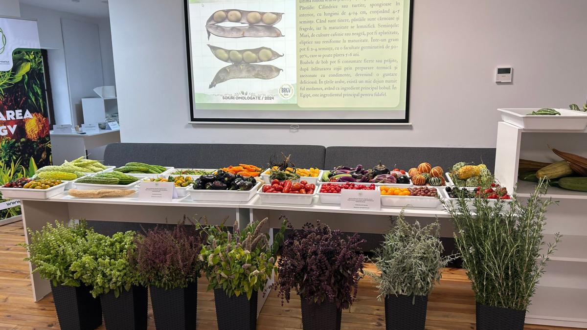 cercetatorii de la buzau au primit sase medalii de aur pentru noi soiuri de ceapa tomate si busuioc