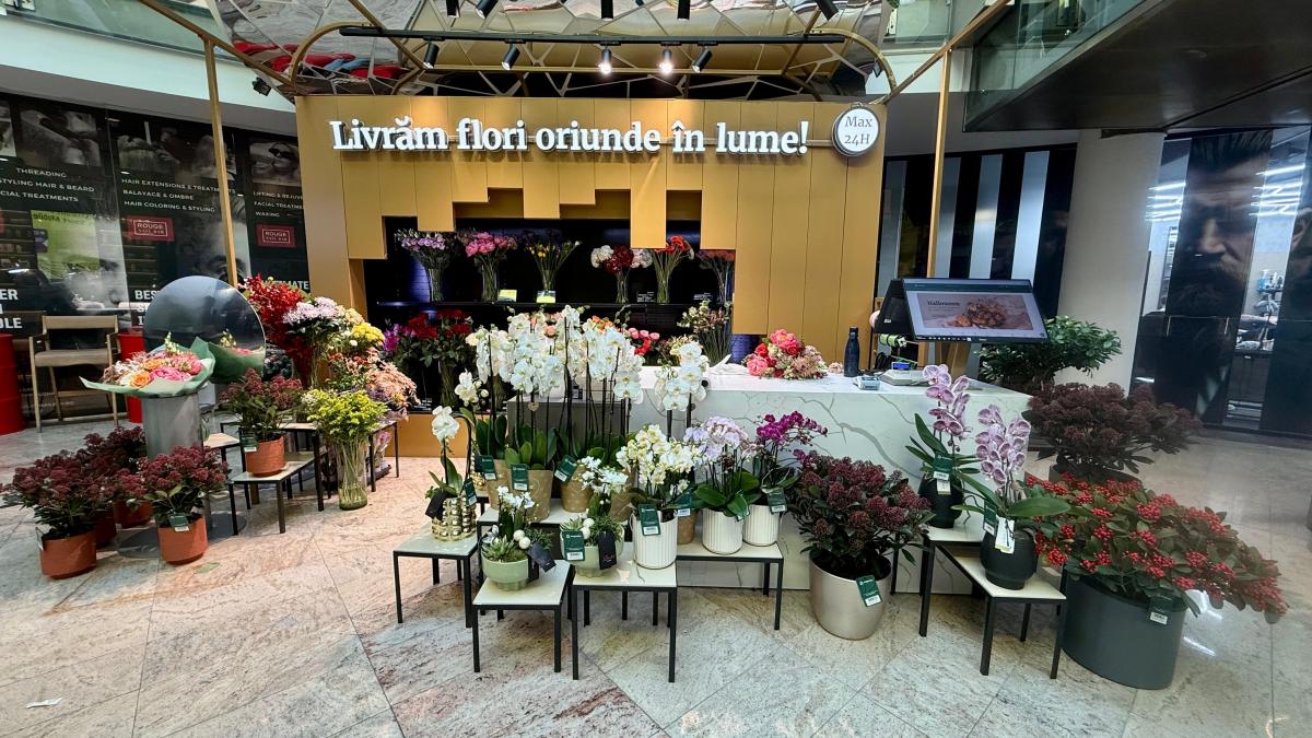 magnolia boutique store baneasa