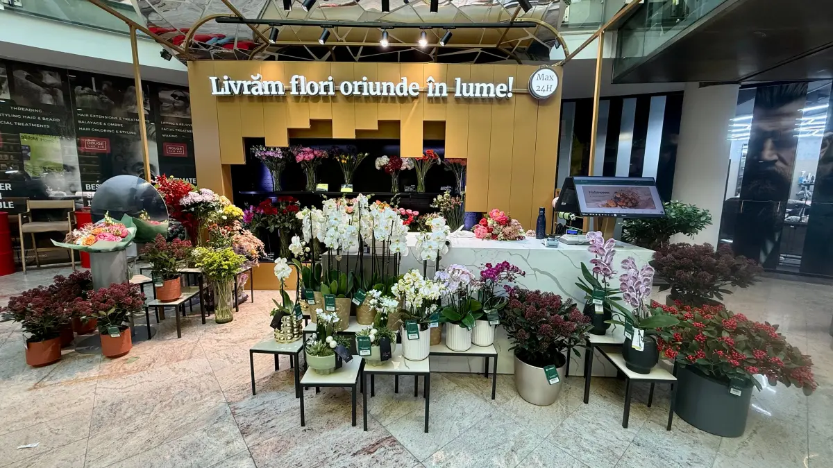 reteaua magnolia ajunge la 20 de locatii un nou boutique store in baneasa shopping city