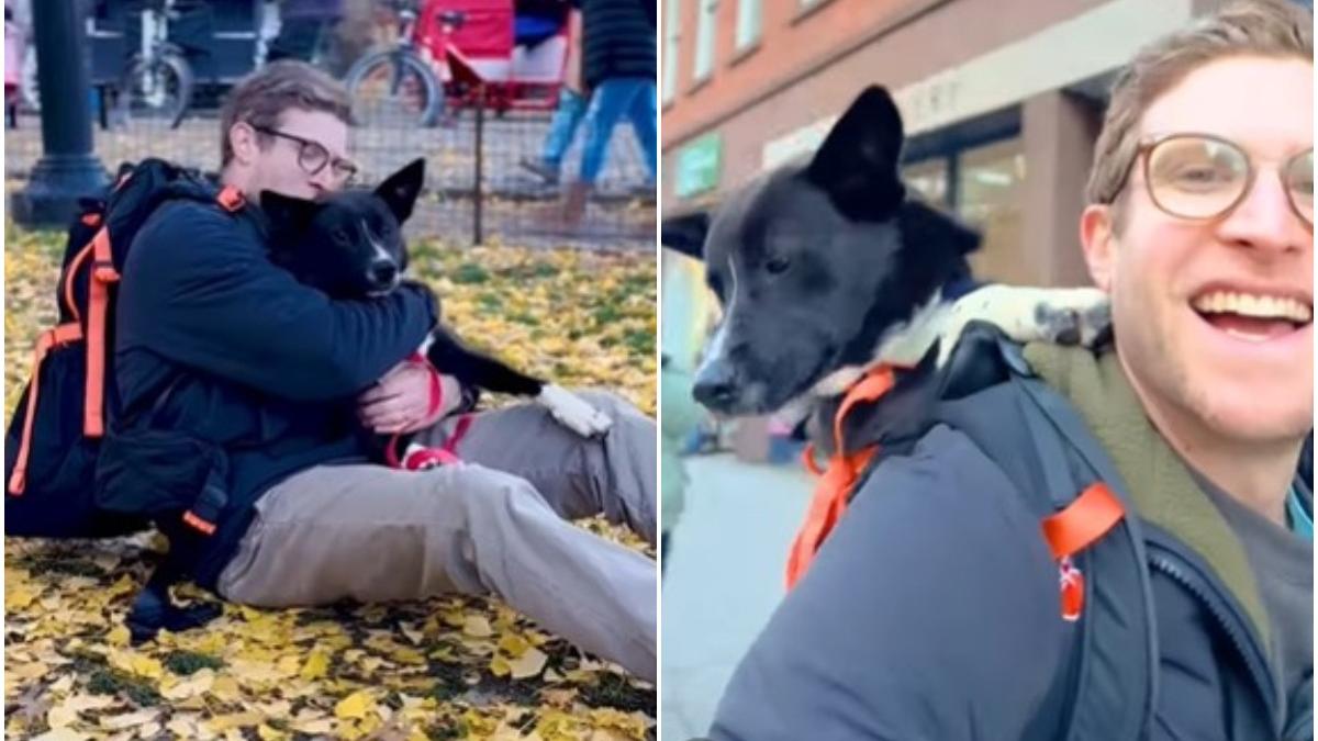 un tanar plimba caini in rucsac pentru a i ajuta sa fie adoptati imaginile au devenit virale