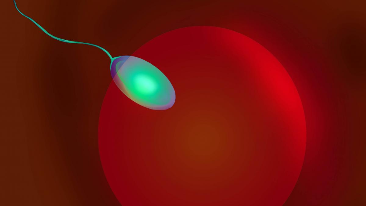 a donat sperma timp de 17 ani fara sa stie ca transmite o gena mortala aproape 200 de copii din europa au risc de cancer de 90