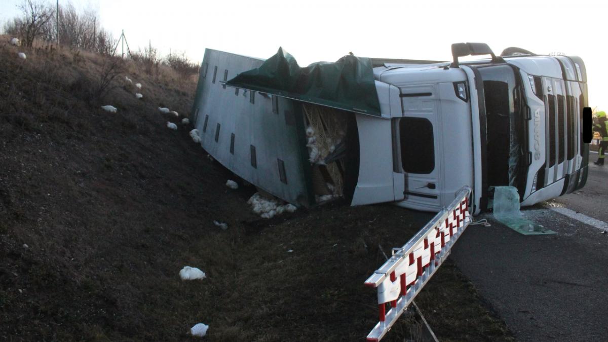 mii de gaini au scapat pe o autostrada dupa ce camionul in care se aflau s a rasturnat