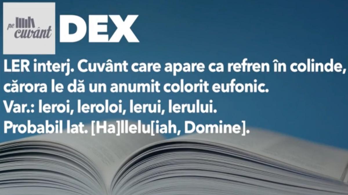 multi romani cred ca se scrie leru i ler dar varianta corecta este lerui ler ce inseamna si de ce se pune cratima asa