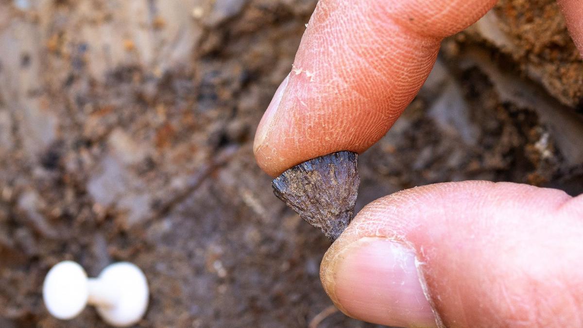 cercetatorii au gasit dovezi ale celui mai vechi foc aprins de oameni s ar fi intamplat cu 350 000 de ani mai devreme decat se credea
