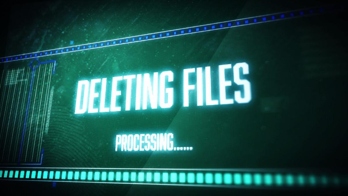 inteligenta artificiala de la google i a sters tot hardul programul si a cerut scuze nu pot spune cat de rau imi pare