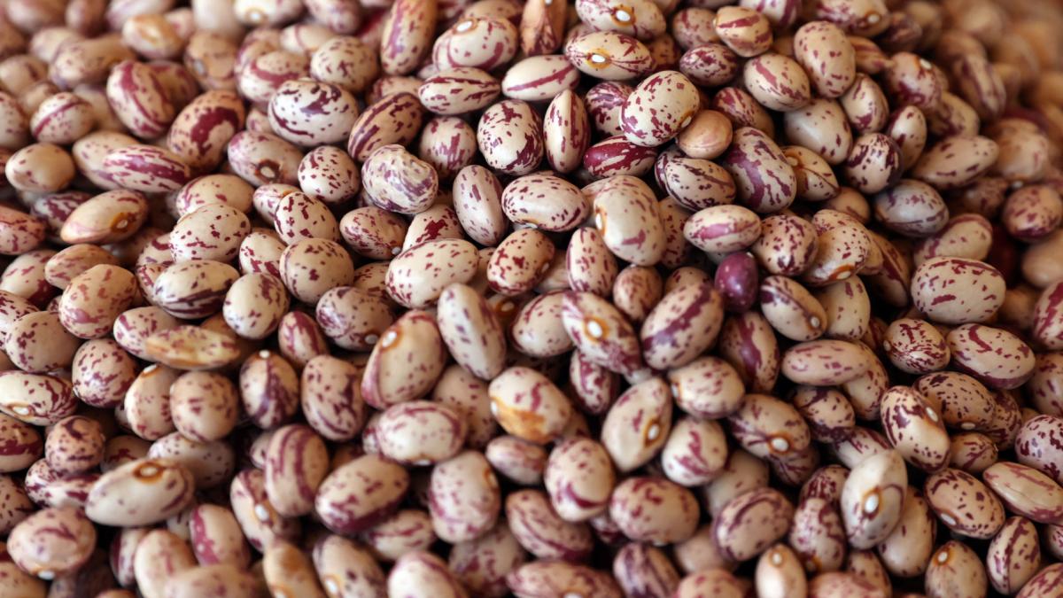 boabe de fasole
