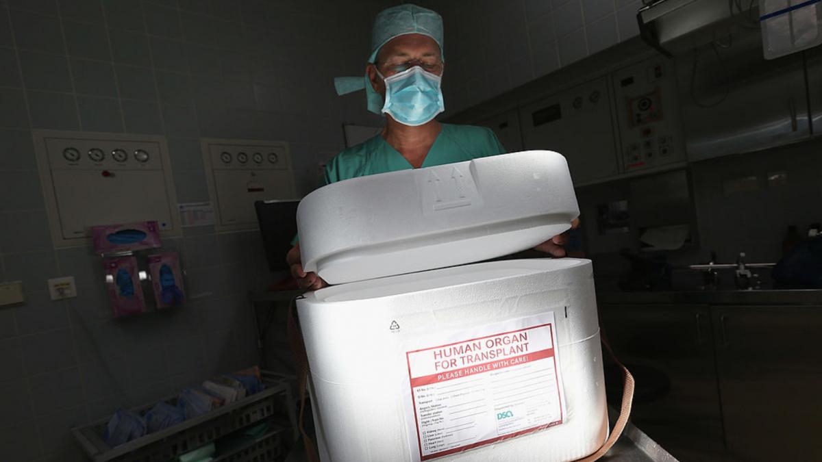 caz socant la harvard medical school directorul morgii a fost condamnat la opt ani de inchisoare pentru trafic de organe