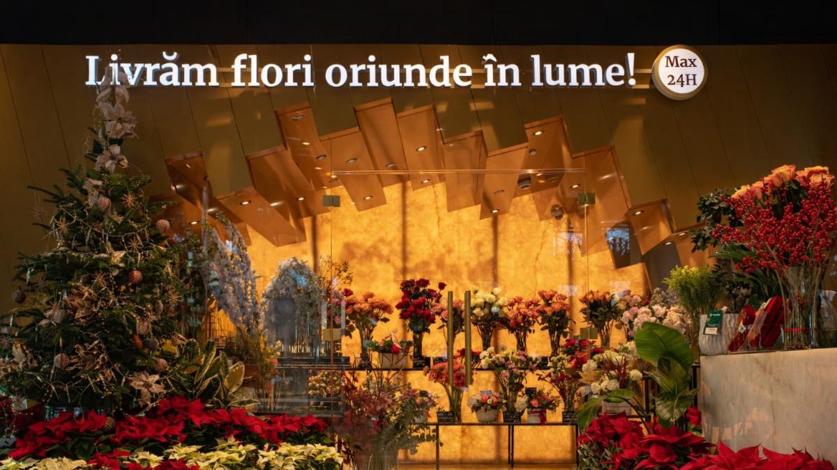 Floraria-magnolia-craciun