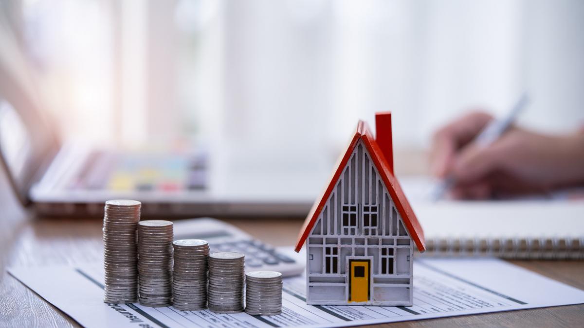 casa macheta si monede