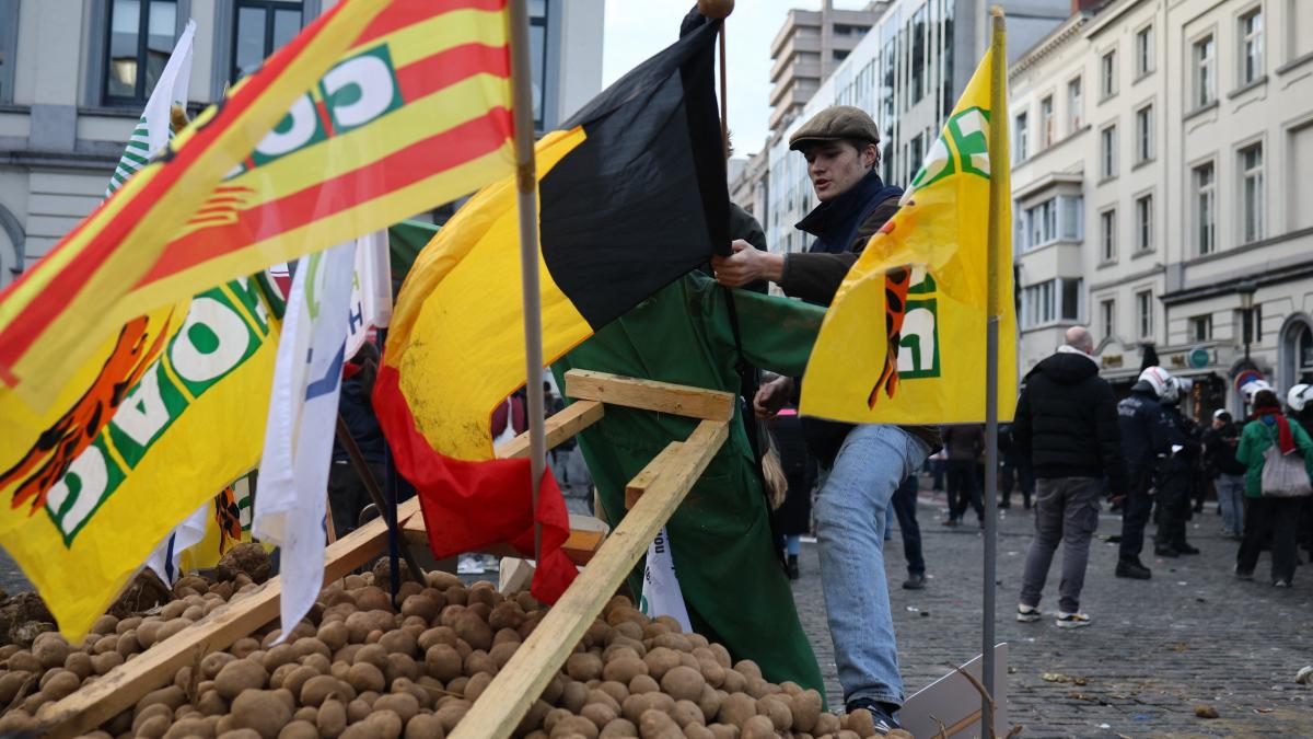 compromis de ultim moment la bruxelles privind acordul ue mercosur vor fi impuse tarife tarilor latine daca destabilizeaza piata ue