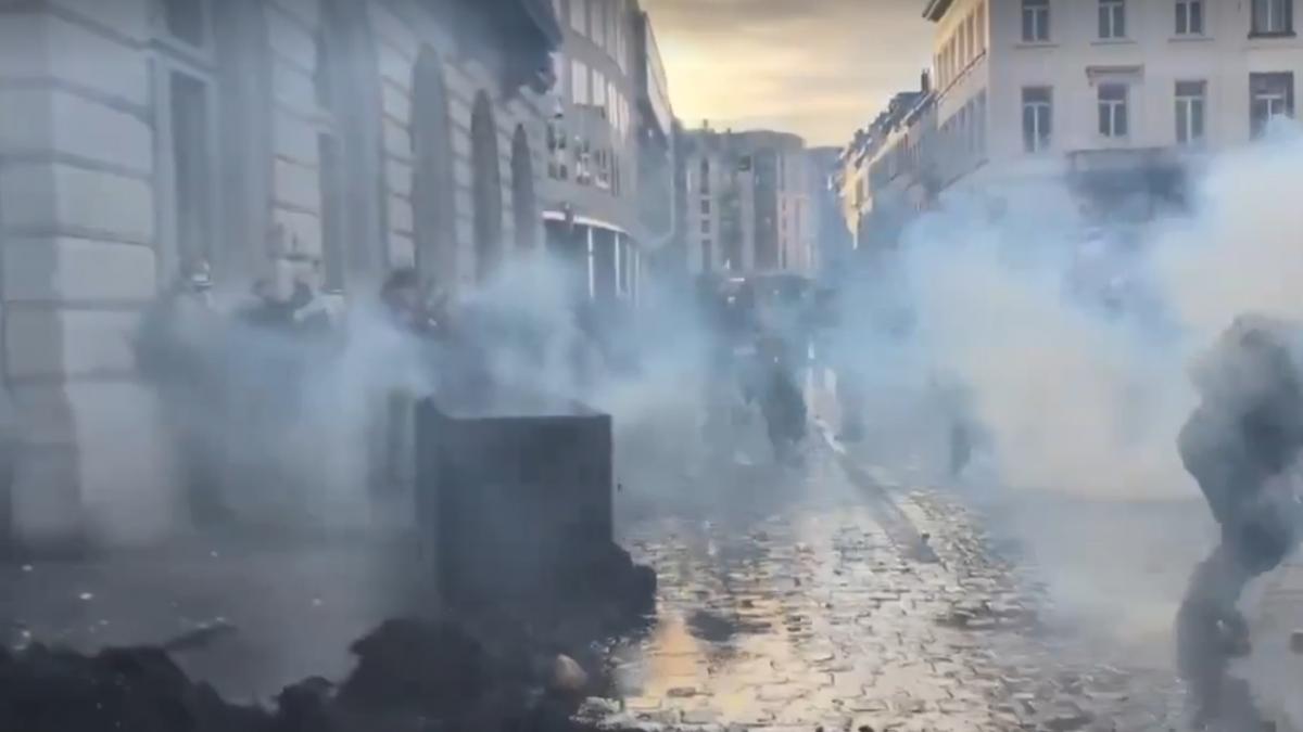 locuitorii din bruxelles au cules cartofii pe care fermierii i au aruncat pe strazi in timpul protestelor din capitala belgiei