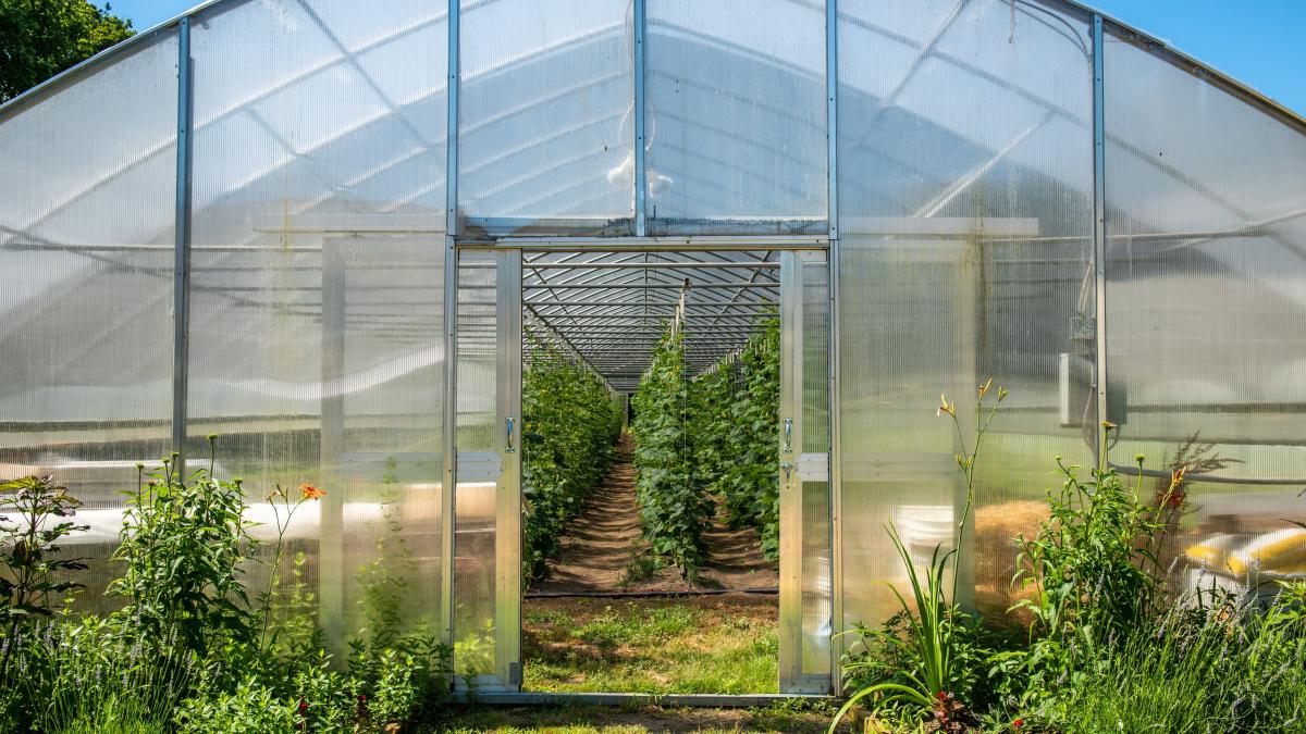 Consilierul lui Bolojan, despre taxa pe sere: „E greu de aplicat, probabil chiar imposibil”