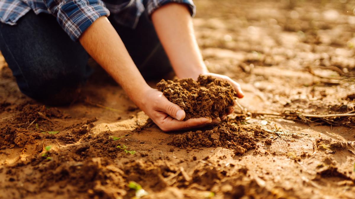 Doi prieteni s-au apucat să sape în pământ și au făcut o descoperire care le va schimba viața: „E pur și simplu noroc”