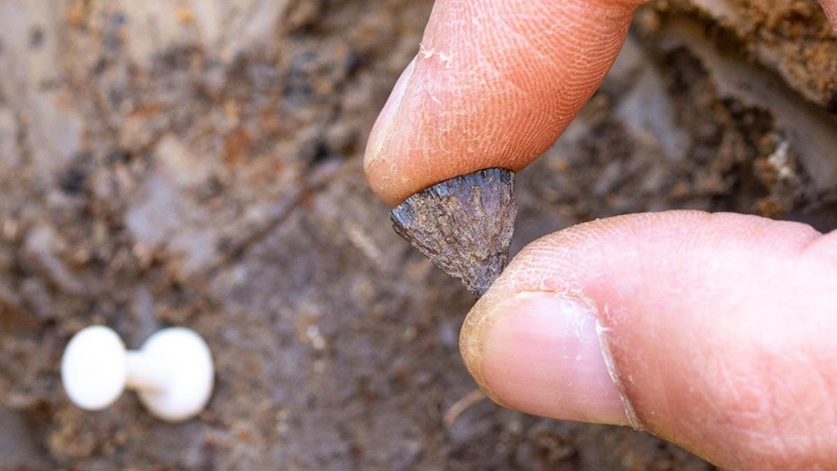 O descoperire arheologică schimbă ce știam despre primul foc aprins de oameni: „Aurul prostului” a fost găsit într-un loc neașteptat