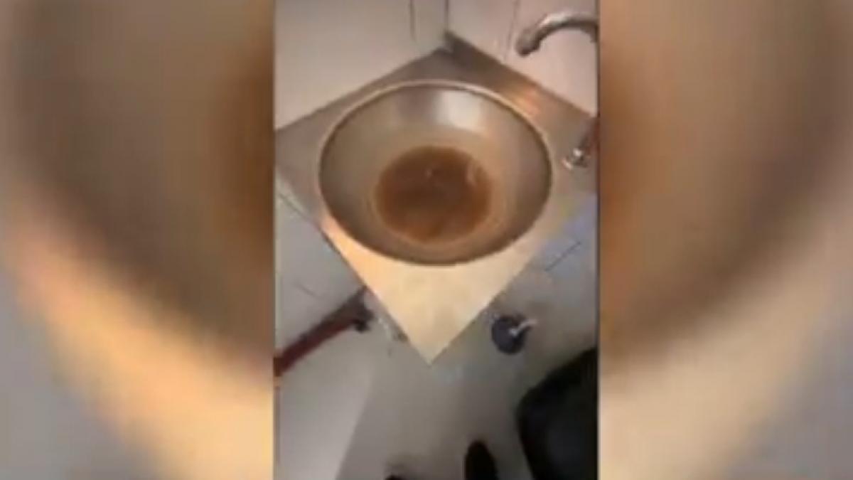 anpc a inchis un restaurant din constanta dupa ce in bucatarie a gasit un soarece mort insecte si ingrediente expirate