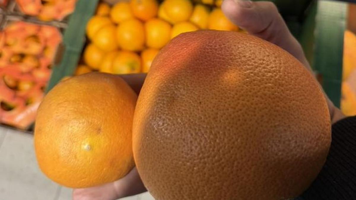 "România a ajuns bătaia de joc a importatorilor de citrice". Director ANPC: Portocalele sub 60 mm ar trebui să fie doar furaj animalier