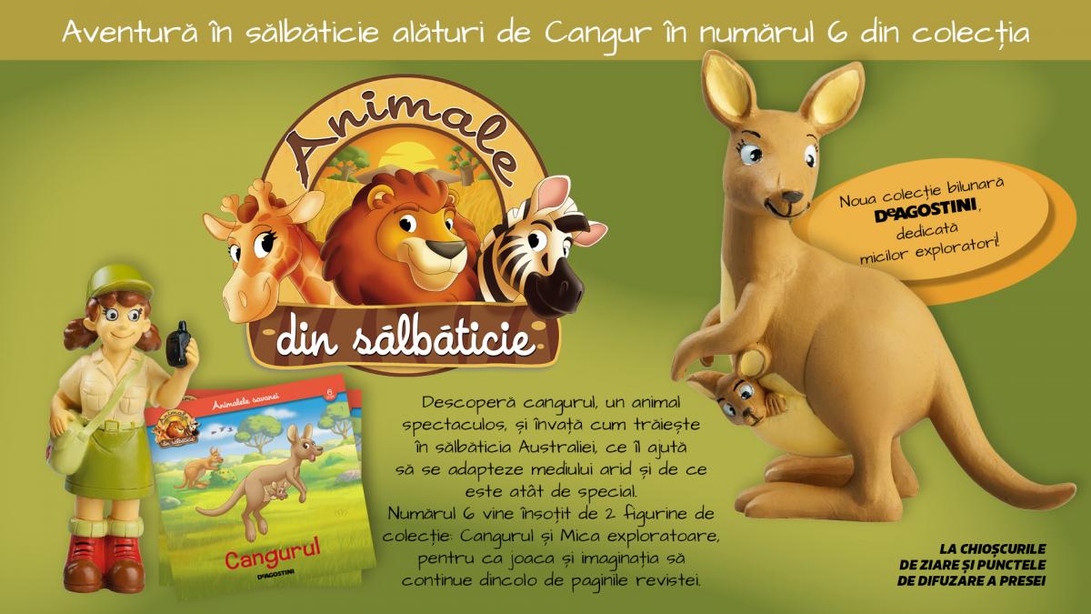 cangurul o noua descoperire in colectia animale din salbaticie