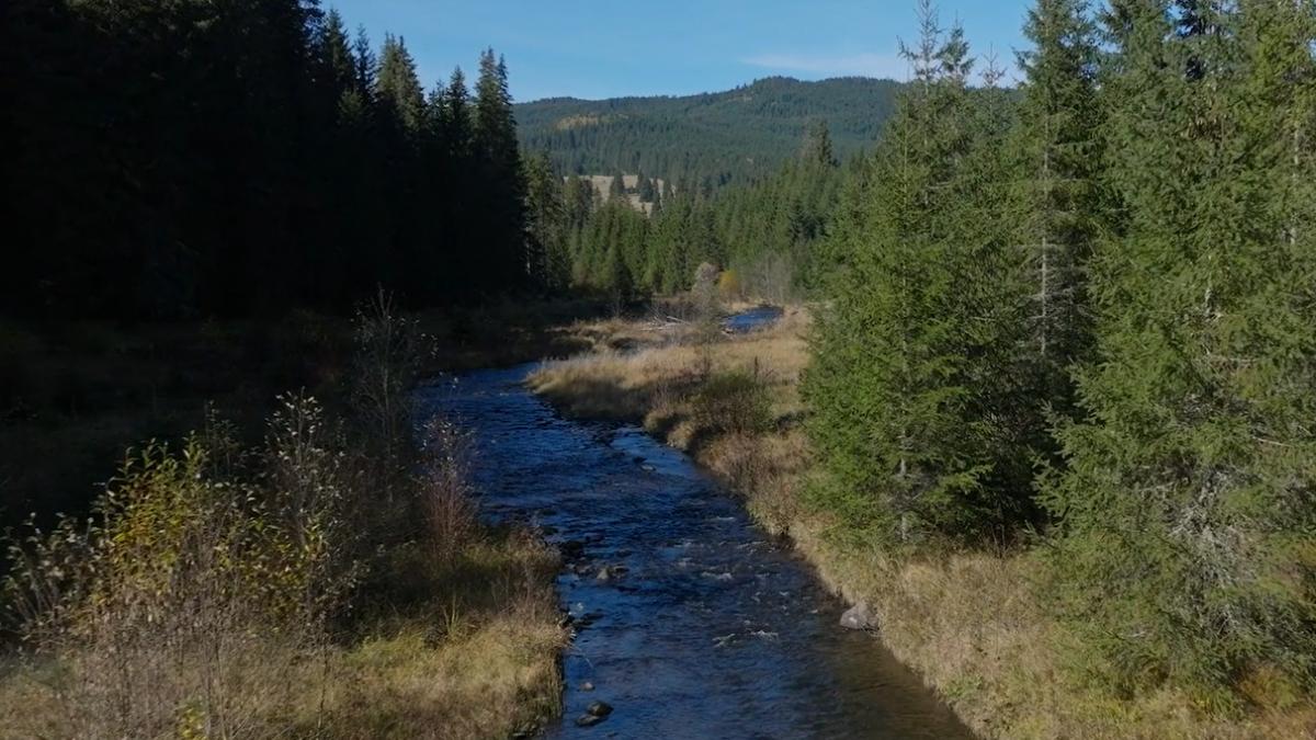 izvorul care a pus romania pe harta lumii