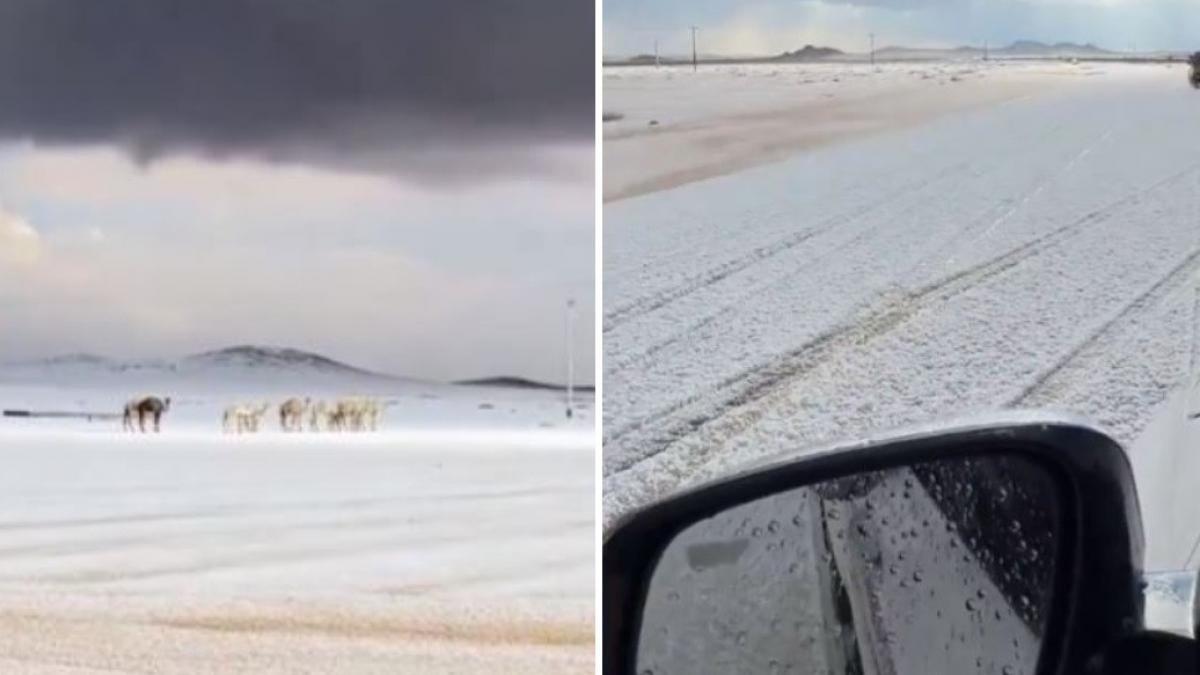 peisaj de iarna istoric in arabia saudita a nins in desert pentru prima data in ultimii 30 de ani localnicii s au dat cu sania