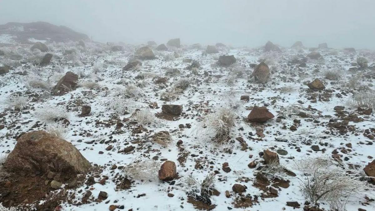 peisaj de iarna istoric in arabia saudita a nins in desert pentru prima data in ultimii 30 de ani localnicii s au dat cu sania