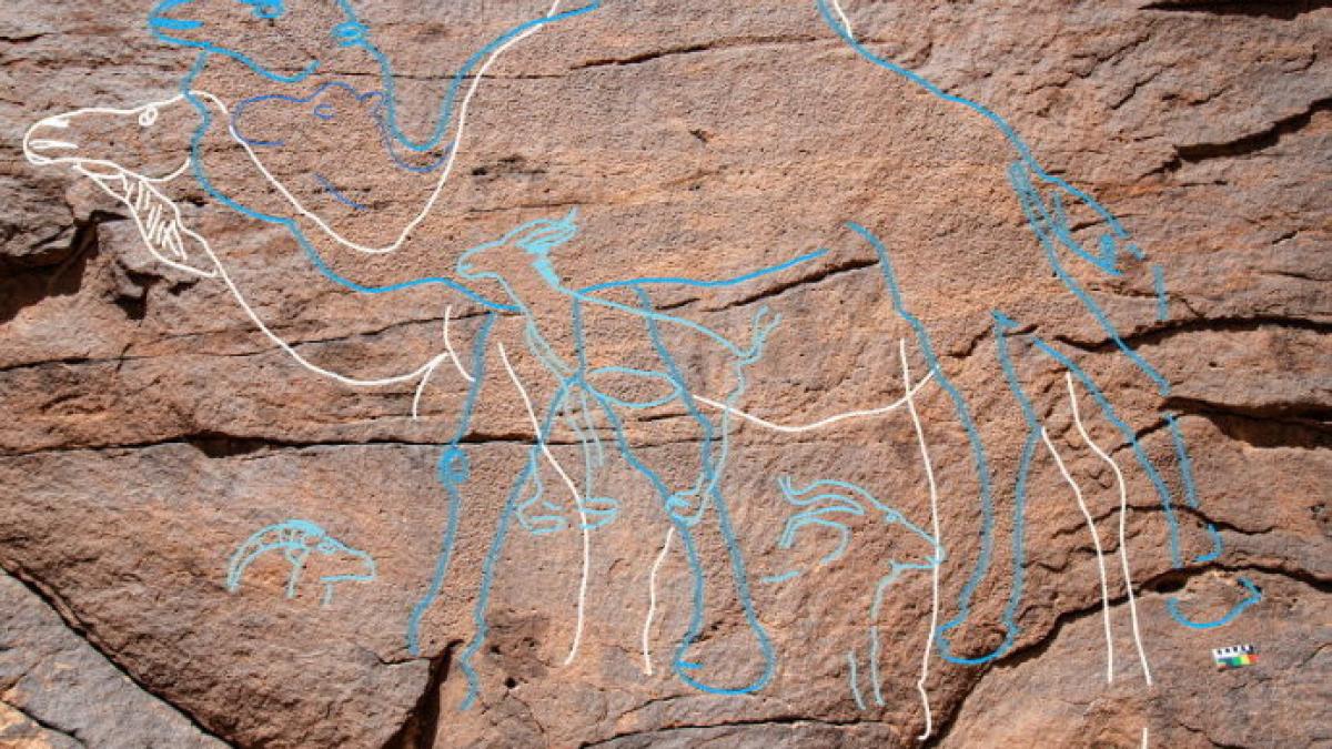 S-au descoperit primele „semne rutiere” din Epoca de Piatră, cu gazele, capre și cămile. Care era semnificația ascunsă a acestora