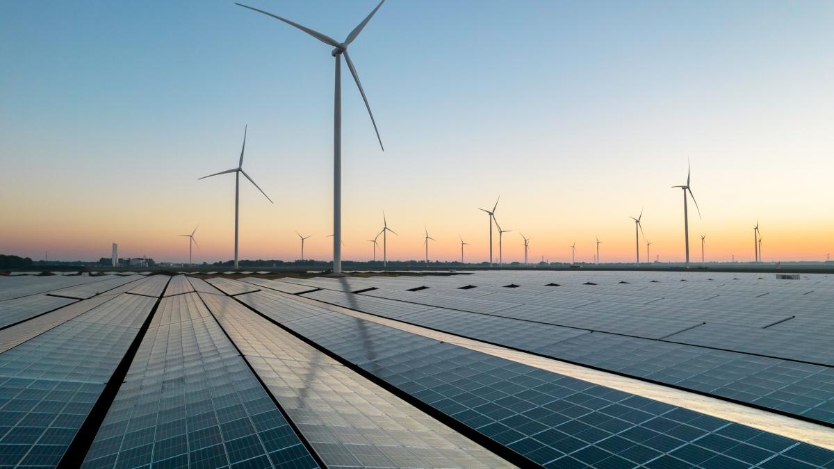 ministerul agriculturii vrea sa foloseasca terenurile neproductive ale statului pentru investitii in energie regenerabila