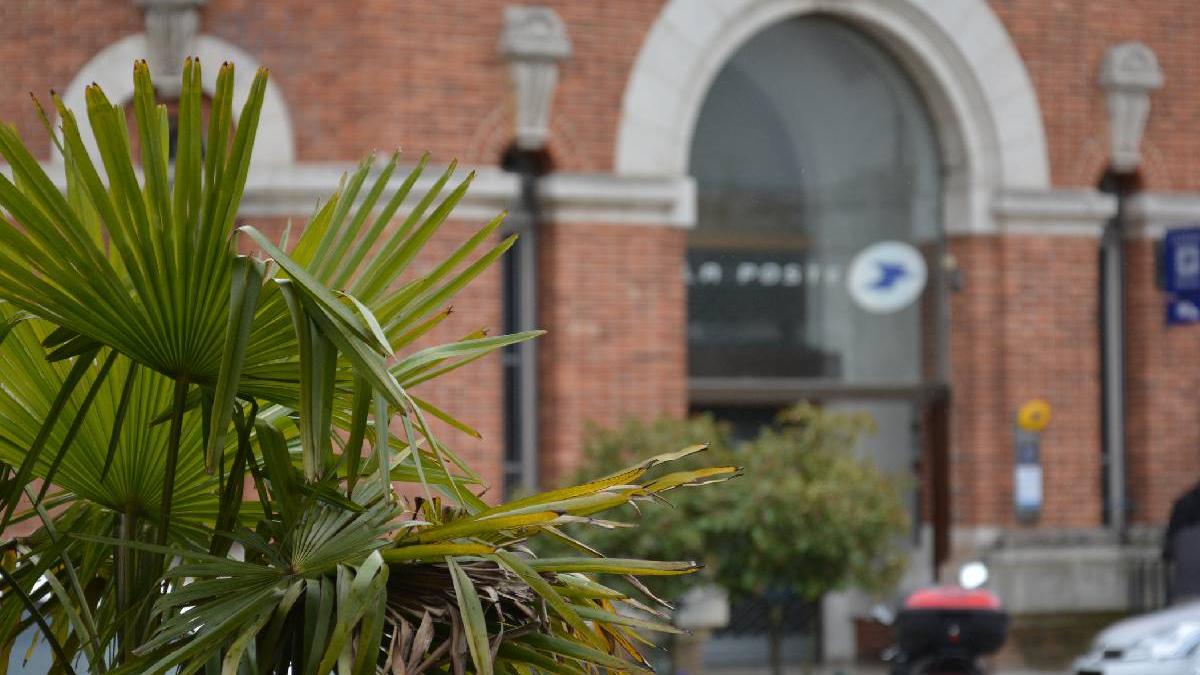 posta frantei victima unui atac cibernetic inainte de craciun livrarile si platile online au fost date peste cap