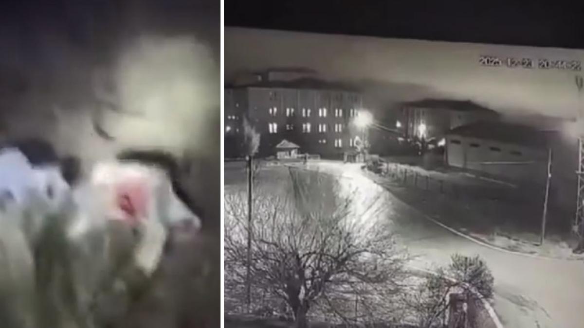 autoritatile din turcia au gasit cutia neagra a avionului libian prabusit langa ankara au fost incepute examinarile