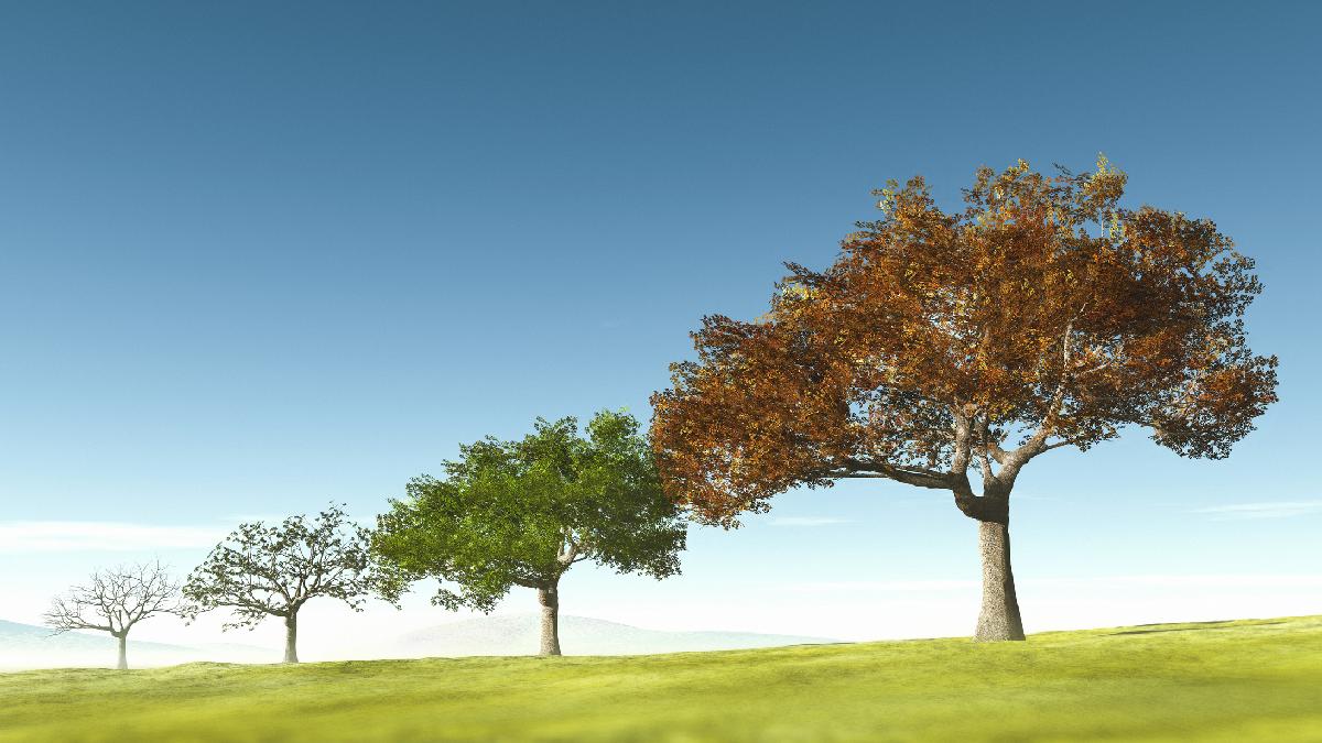 de ce doua locuri aflate unul langa altul pot avea anotimpuri diferite