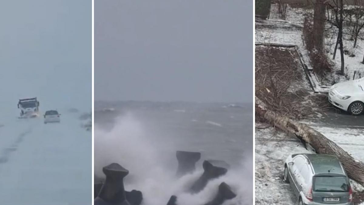 ninsorile si viscolul au pus stapanire pe romania masini blocate in nameti copaci doborati de vant si porturi inchise la marea neagra