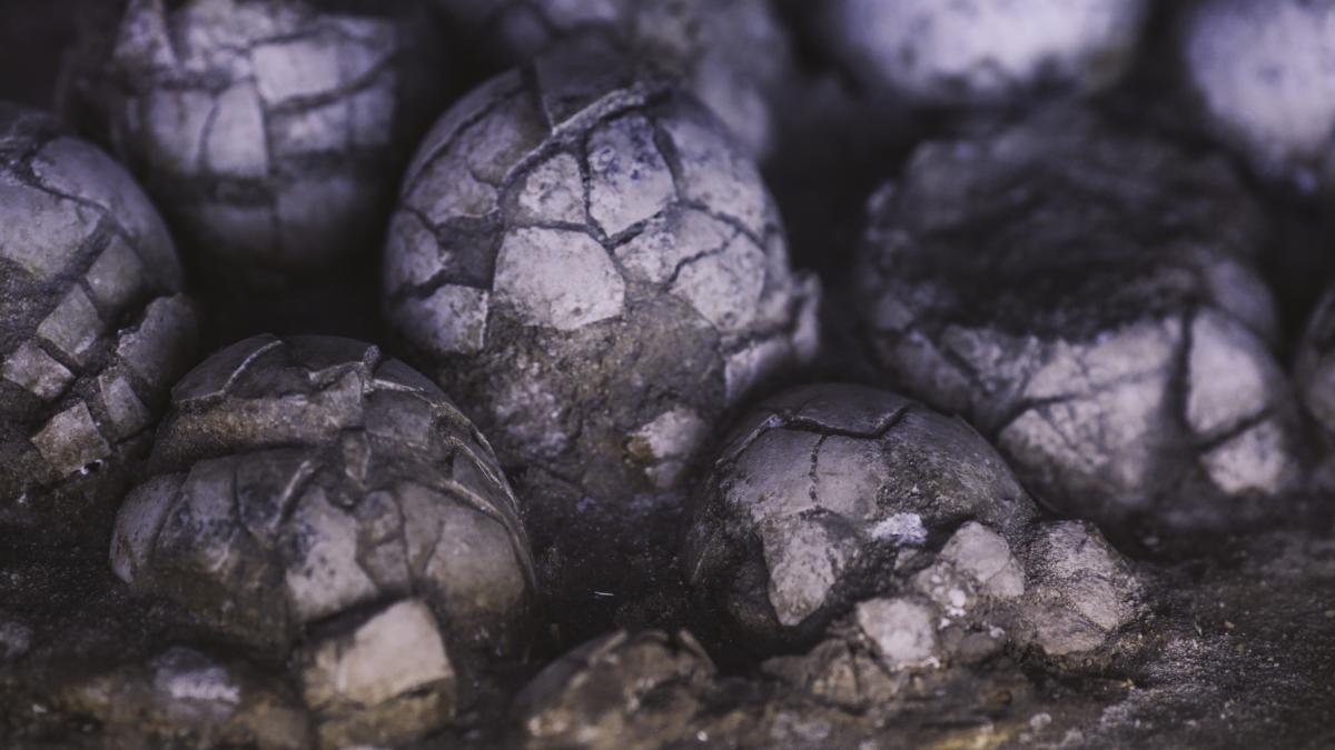 cercetatorii chinezi au gasit oua de dinozaur mari cat ghiulelele de tun pline cu cristale gigantice