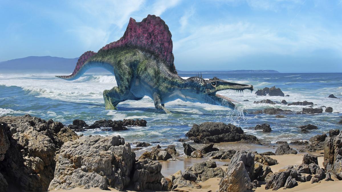 Un dinozaur mai lung decât o camionetă vâna pești în râurile din Thailanda acum 125 de milioane de ani