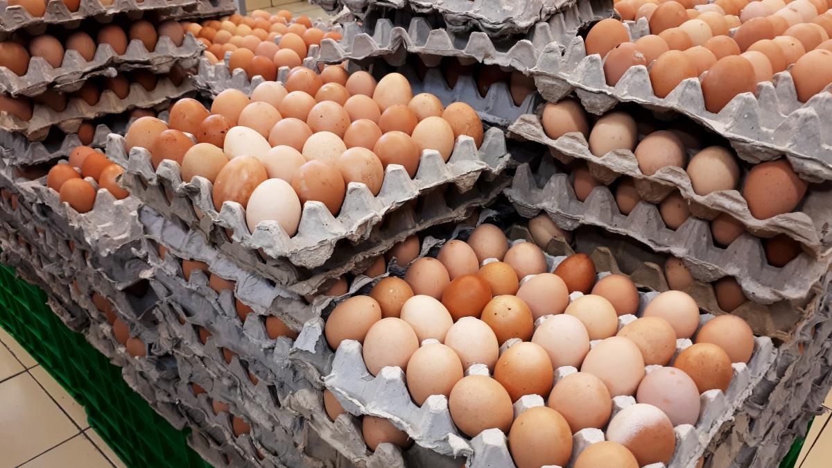 Un șofer român care transporta ouă a fost amendat cu 10.000 de euro în Italia